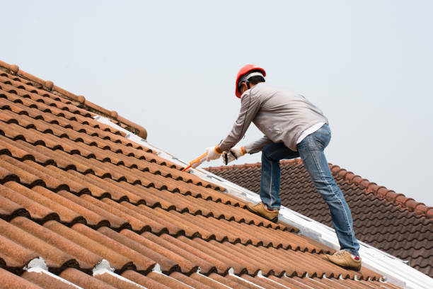 Best Cold Roofs  in Snead, AL