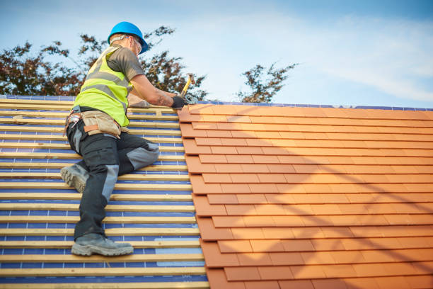 Best Rubber Roofing (EPDM, TPO)  in Snead, AL